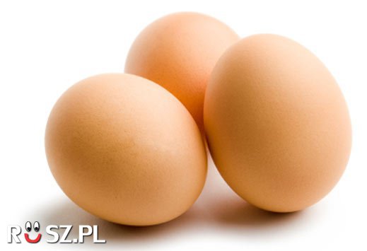 Ile jaj składa rocznie kura?