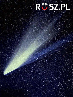 W którym roku gołym okiem  była widoczna kometa Halleya ?