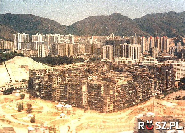 Ile osób mieszkało w Kowloon w Hongkongu ?