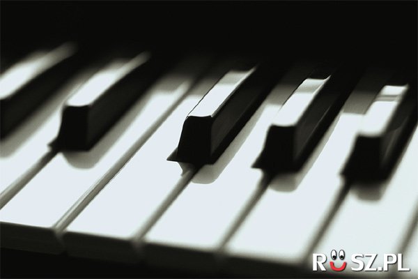 Ile klawiszy ma fortepian?