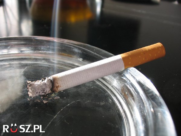 Ile lat mają papierosy z filtrem?