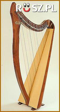Ile maksymalnie strun ma harfa?