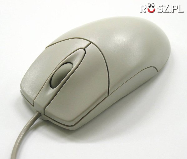 W którym roku powstała pierwsza mysz komputerowa ?