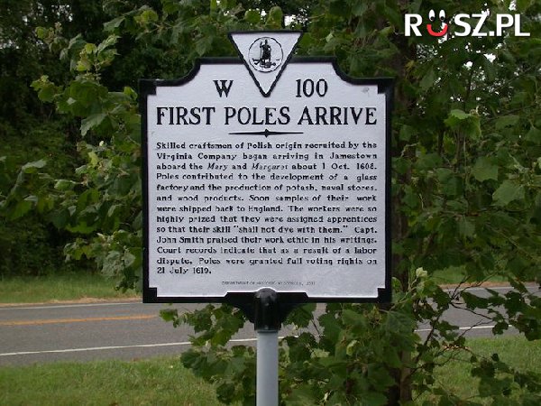 Pierwszy strajk w USA przeprowadzili Polacy. W którym roku?