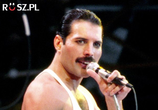 W którym roku zmarł Freddie Mercury?