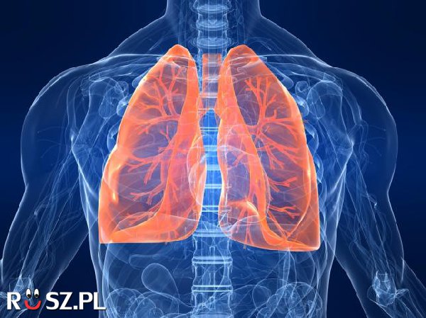 Jaka jest pojemność płuc dorosłego człowieka?