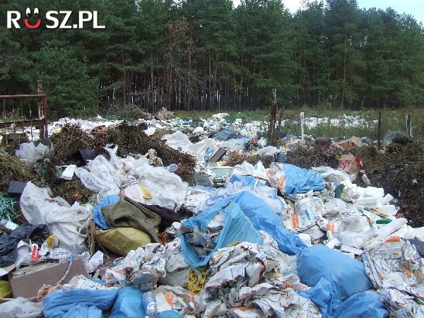 Ile śmieci produkuje polak w roku