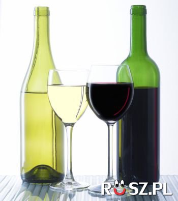 Z jednej tony winogron ile butelek wina można uzyskać ?